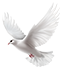 164723mwxkkh0gy2gzekg4.png