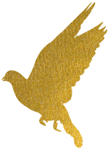165833cxkj05mvzvj5jkvj.png
