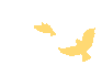 094726r9mx95pu1cugsmgd.gif