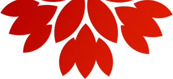 113834lhypqg7yeyplsz15.png