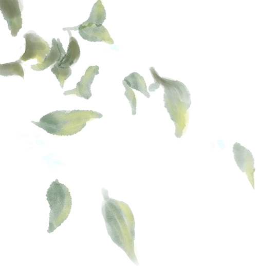 165523lqqdxq1zfaoddz8d.png