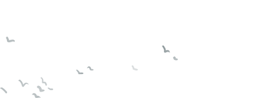 100918xofrfy74w1f8sf90.gif