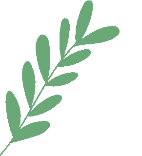 105516jjjfn10fjl212jjg.gif