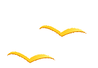 173150a8woowmw9od4ols5.gif
