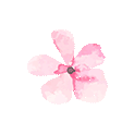 095916yrkpyr5ytjtqkx11.gif