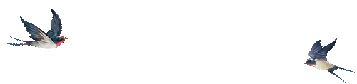 105500yfmjfrkldruy5u9d.gif