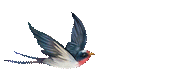 105549vwhh2e2ziwhe70e6.gif