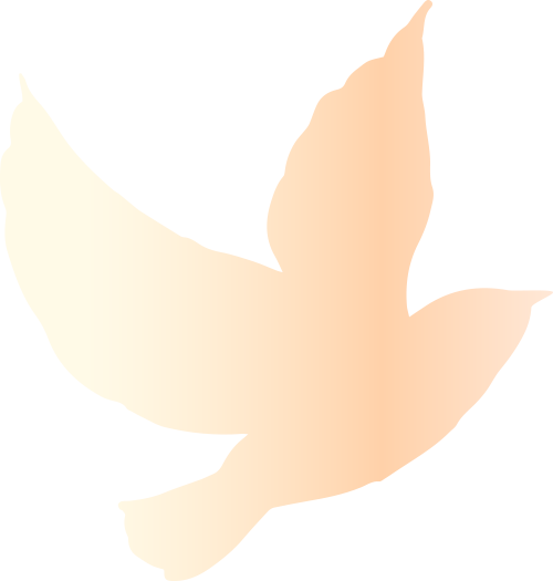 163759m77orv7v0577s74a.png