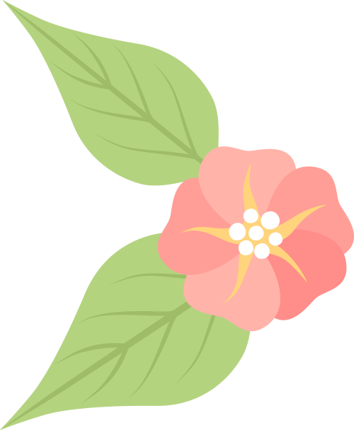 163800srh01ddddrx6v51x.png