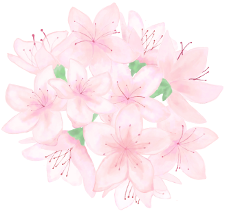 094628pyr092a2el11t6zt.png
