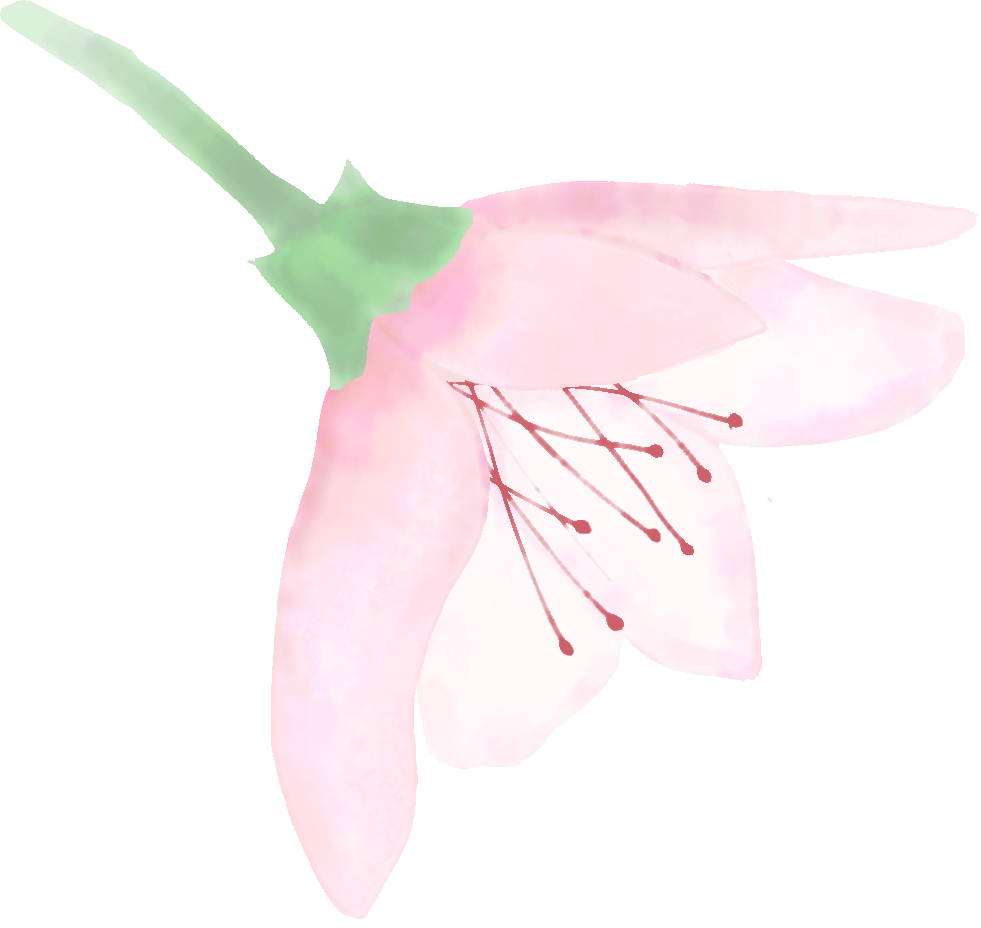 094629c369j6svbjl9jlfy.png