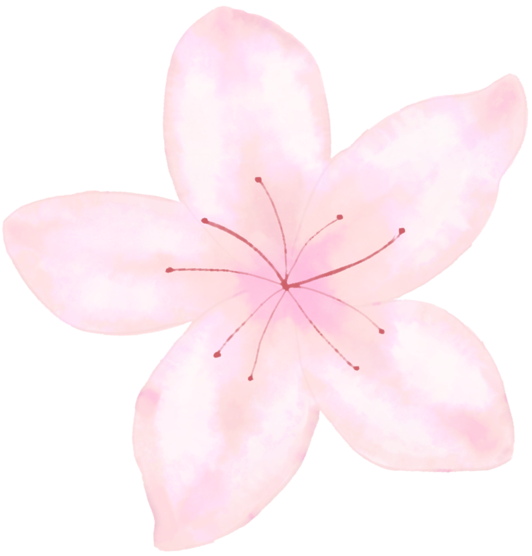 094639f8j87dd8m69eell9.png