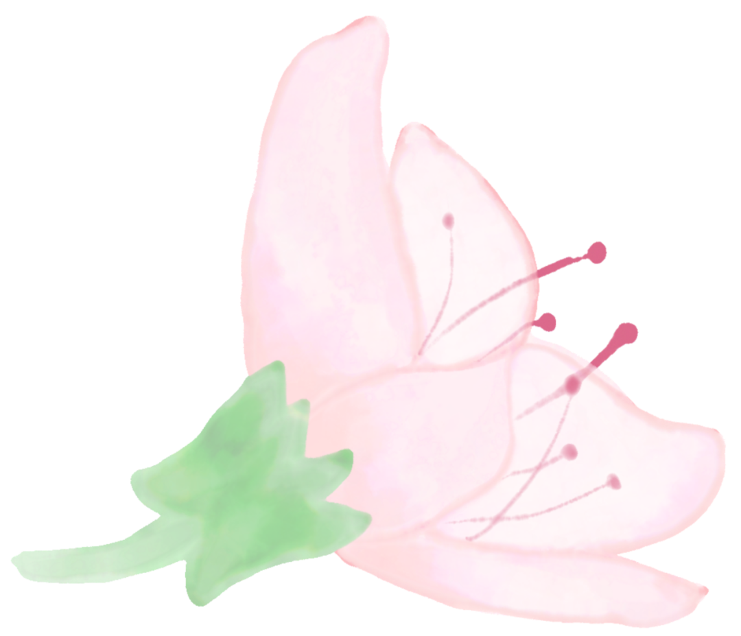 094647t15bjpqm35w3ekm3.png