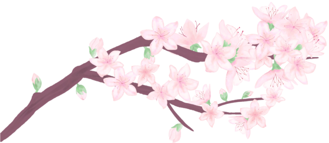 094650eiiwuu8eer9wk5ri.png