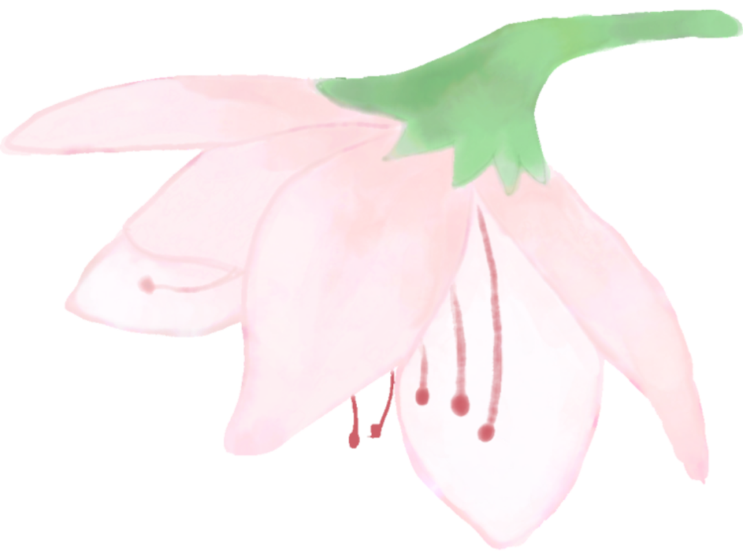 094714h0z1n3ivw3830723.png