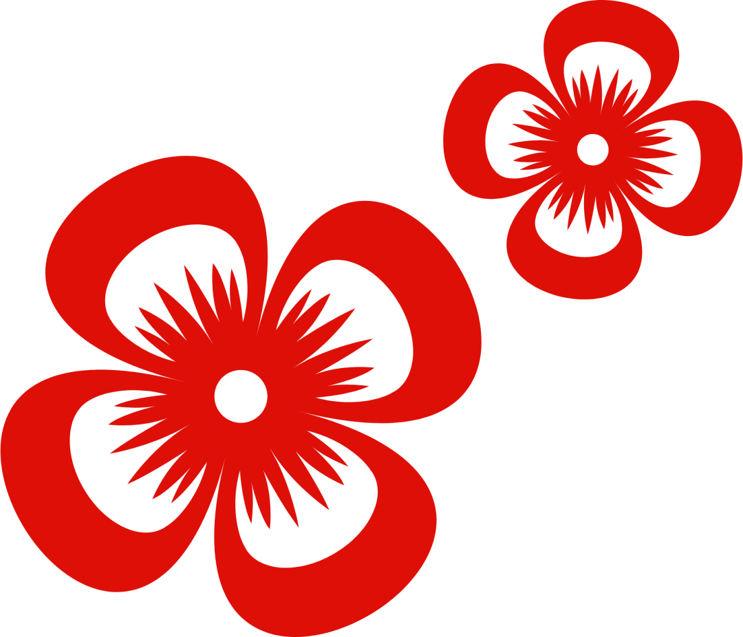 102350dx66xbvbxhar9xdw.png