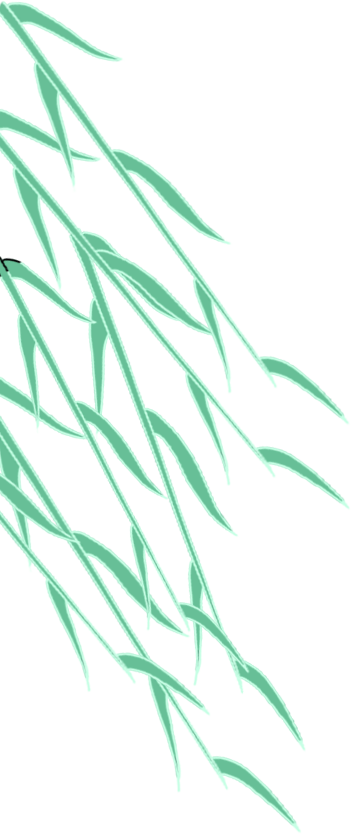 3540ba16efba95791fbac7f9096654a1.png