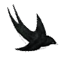 403fc3d671a40c8ebb454d57d13955b4.gif