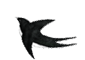 dd9e1c6557af6117e6d03988b59bb84f.gif