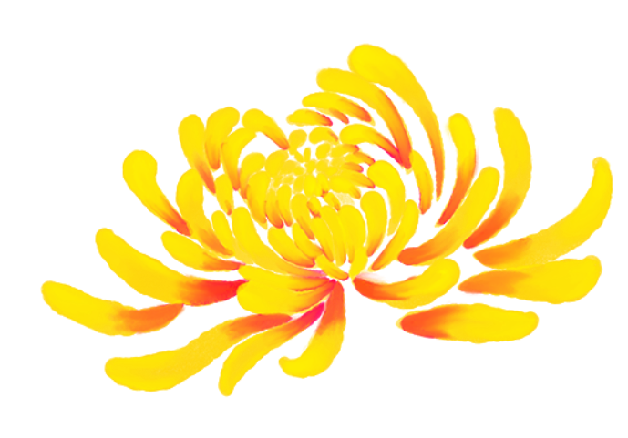 093846bpsfhs3bq5bdbb3p.png
