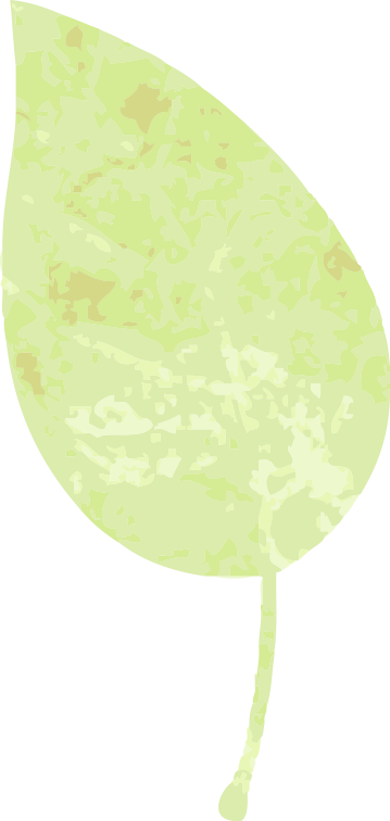 165144zp9oq33iogpbpppg.png
