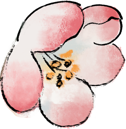 172741xiy32rab3ed3jf45.png