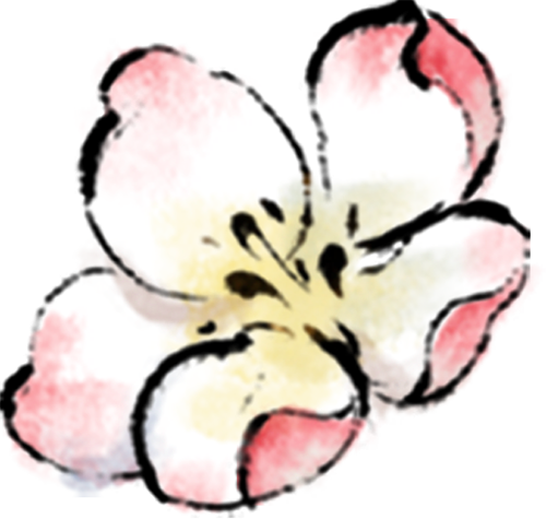 172743ryu7679lccb3tct3.png