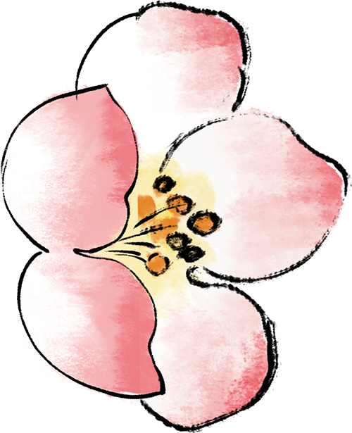 172744ddgr5g5xrubldtxt.png