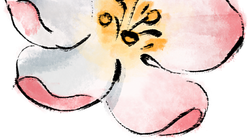 172759axp2ffe0a26n2lfn.png