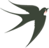 174004oofycq8sy8z8po8o.png