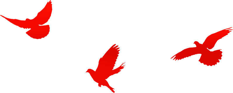 095113znjcc2vcjlvcqezl.gif