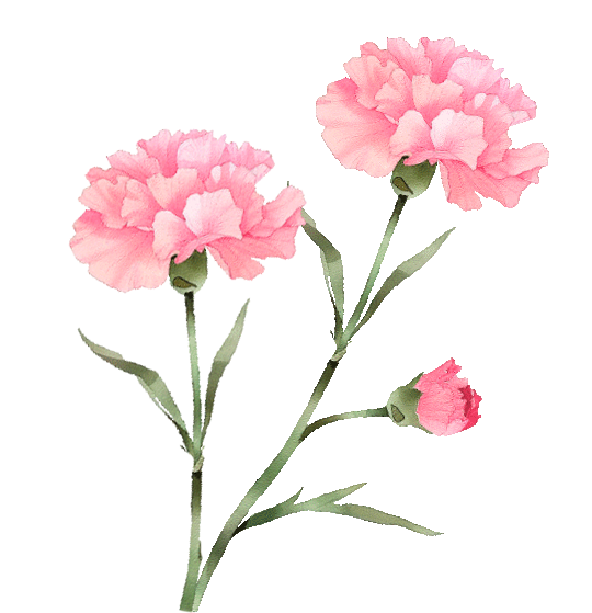 164250bu86g8zio1gsi10c.png