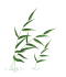 085858tizhic33lhrpc332.gif
