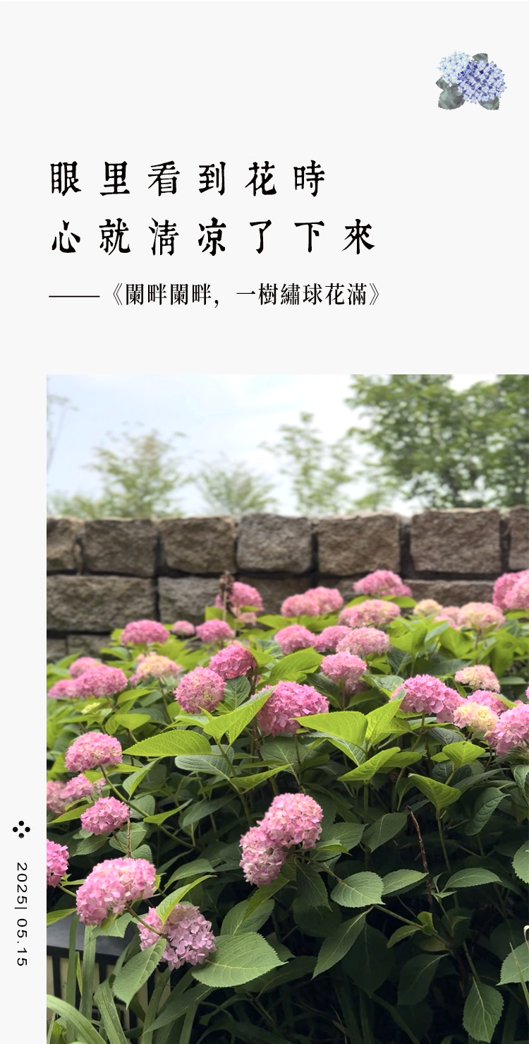 110120s8bx3mxbx8ffof87.png