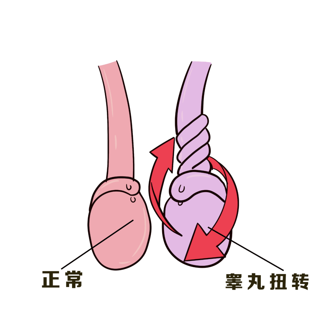 171727jjx6xjq1cbcsbb4k.png
