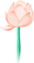 173752a8xbcsdbzbdzc4ch.png