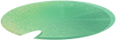 173753ljffm6m6njaf414o.png