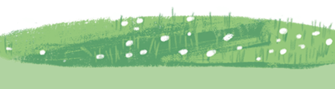 175940s7gt92aiz9jtng3x.png