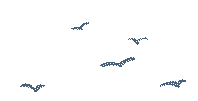 173402ah81s71p4sp11k77.gif