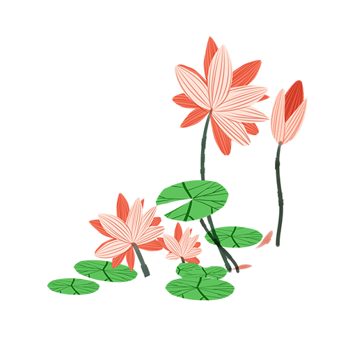 174204pg8tz8488qrbct7r.png
