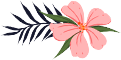 093905p62bb9e8fe88ok2f.png