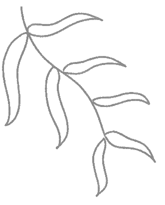 103515u81bnnb8c0ppsv9m.png