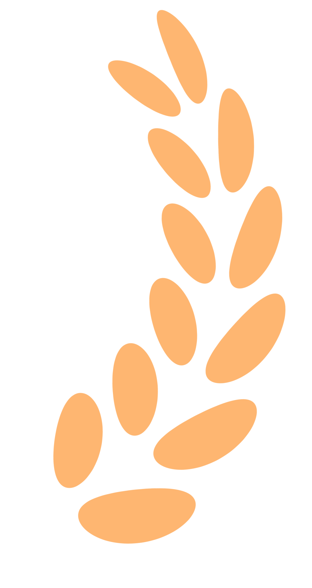 092009b313nz1288jdfgya.png