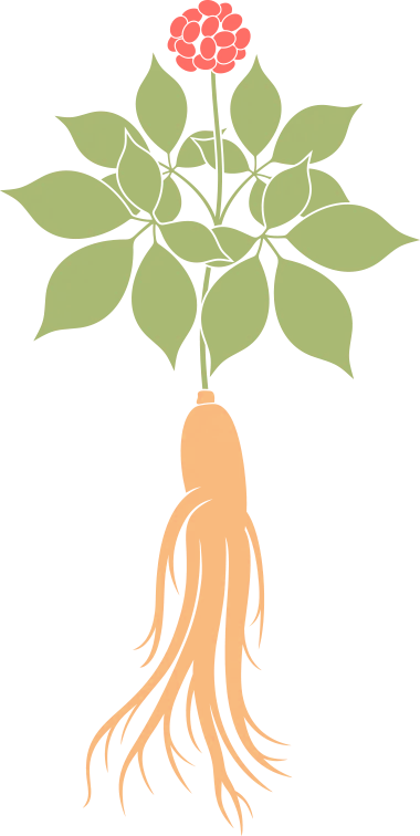 171809tdlppa04abcul77l.png