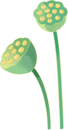 105223ewwlhlx8pvr5sghs.png