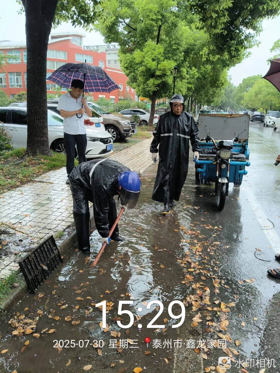 174557yngzand63xnfvz9g.jpeg