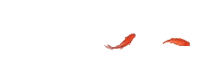 102530y7474pp08820bzho.gif