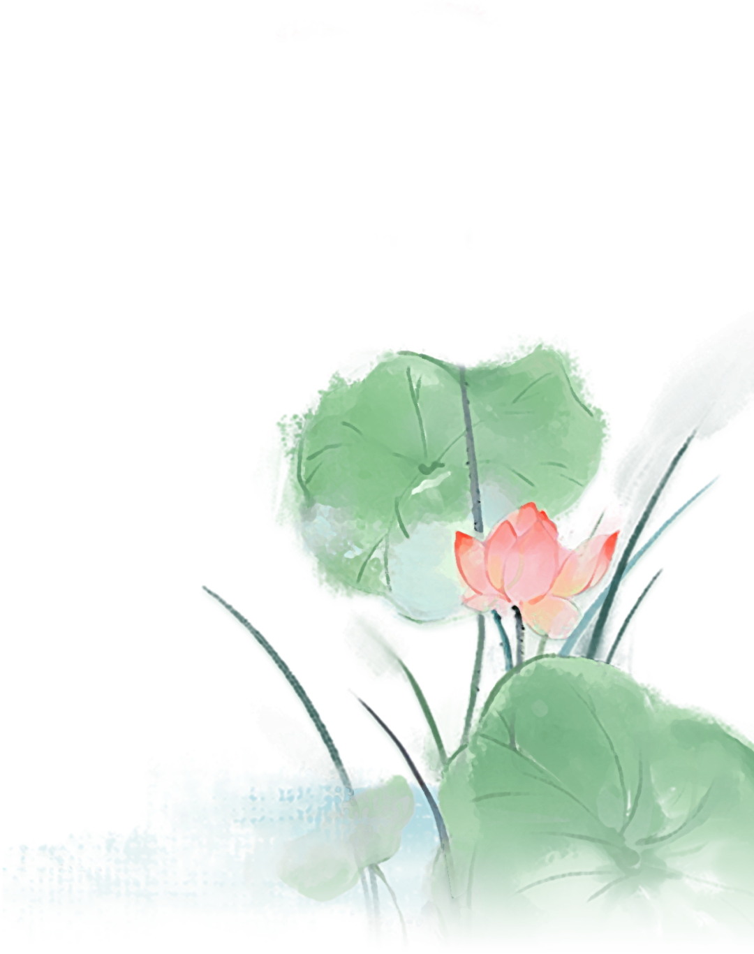 175629sdc7sf72jl975a26.png