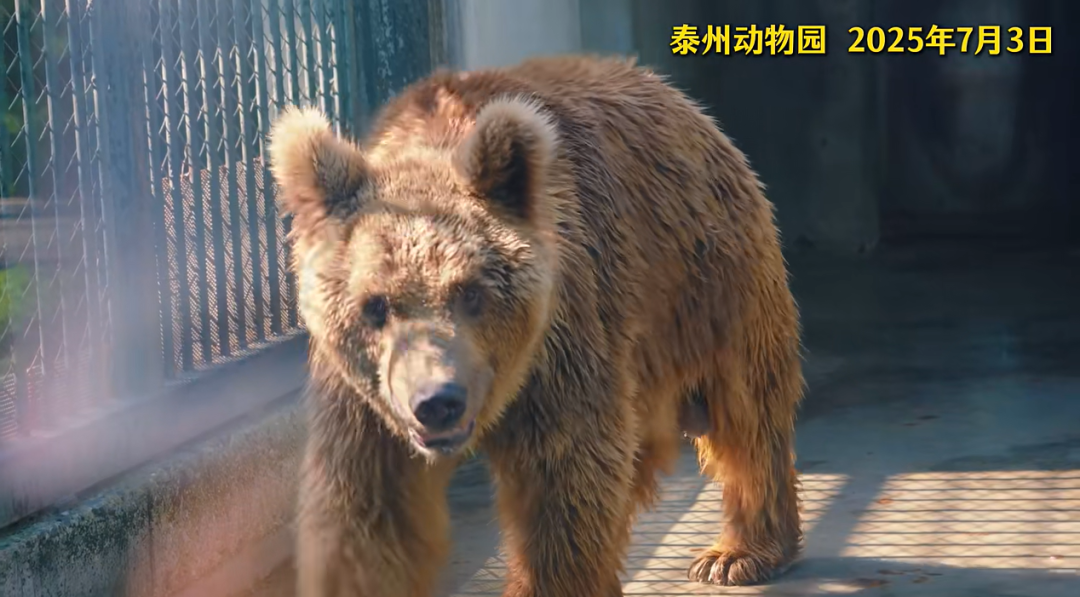 111536fpolivzpt6aaoo2y.png