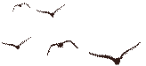 111540g90xb2fry8920tya.gif
